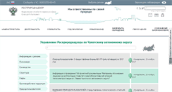 Desktop Screenshot of 87.rpn.gov.ru